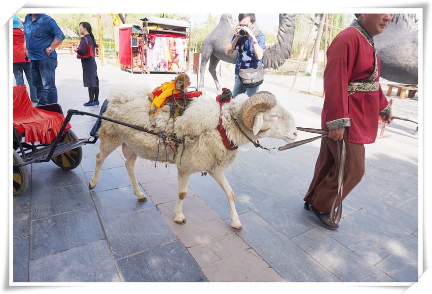 1460997655-2038418045.jpg 1460997655-2038418045.jpg