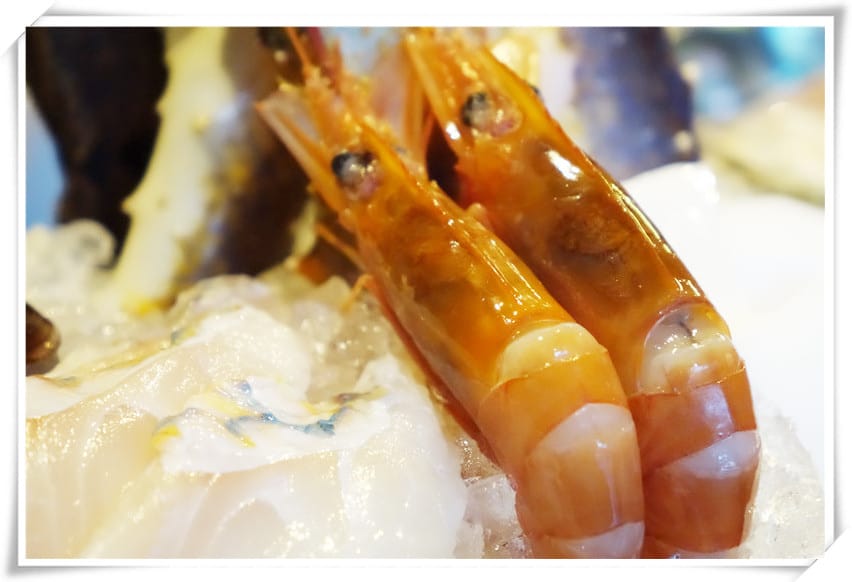 1471883724-2861317870_副本.jpg 1471883724-2861317870_副本.jpg