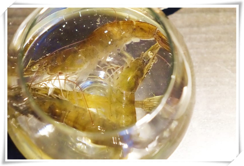 1471883660-3159628226.jpg 1471883660-3159628226.jpg