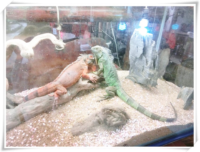 1465925099-787085845.jpg 1465925099-787085845.jpg