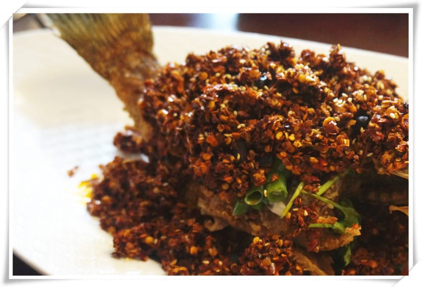 1465925133-2707025659.jpg 1465925133-2707025659.jpg