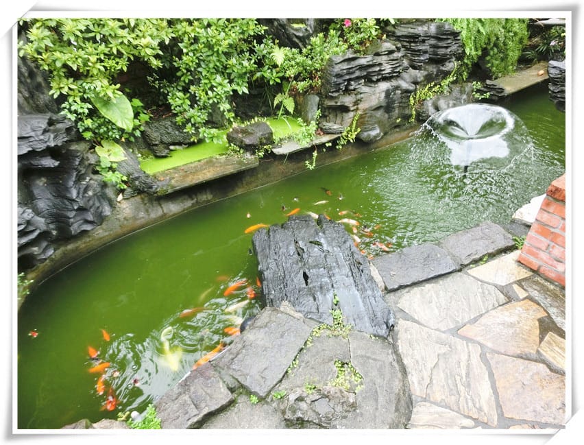 1465925105-1987717674.jpg 1465925105-1987717674.jpg