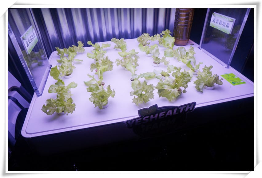 DSC00773.JPG DSC00773.JPG