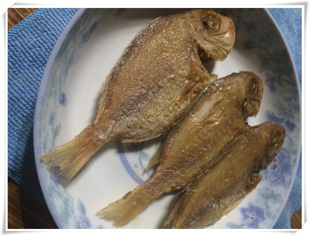 14694823_120300000664153583_411584655.jpg 14694823_120300000664153583_411584655.jpg