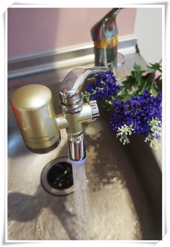 1478525147-2522321977.jpg 1478525147-2522321977.jpg