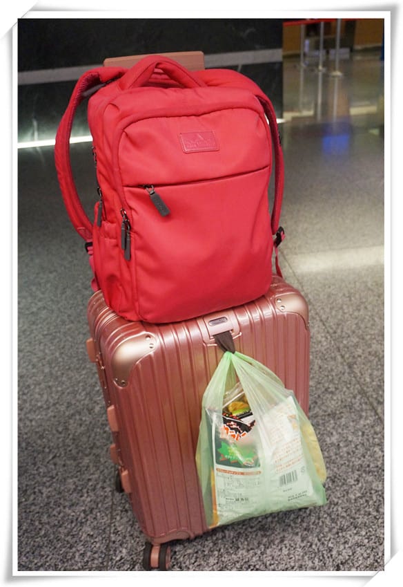 LHS采寓生活館-新天鵝堡系列德國品牌NaSaDen納莎登鋁框行李箱~粉色的小登機箱,讓旅行時優雅的像公主 - 第15張圖