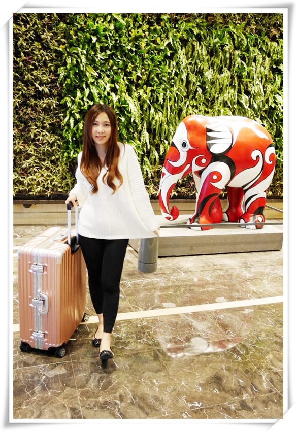 1480868242-1338065167.jpg 1480868242-1338065167.jpg