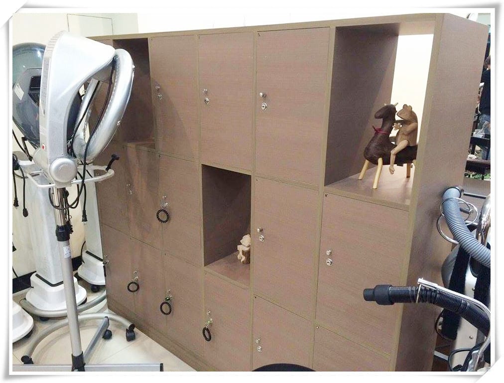 16295435_120300001791770773_954983184_n