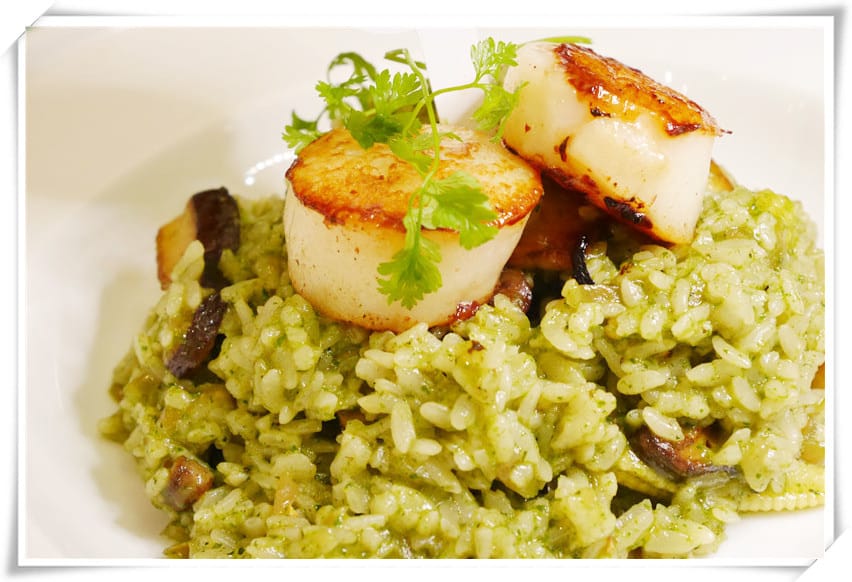 1484864273-2594698554.jpg 1484864273-2594698554.jpg