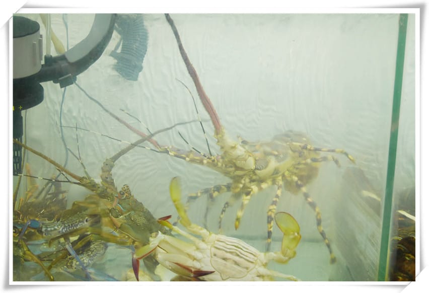 1486576455-1166344694.jpg 1486576455-1166344694.jpg