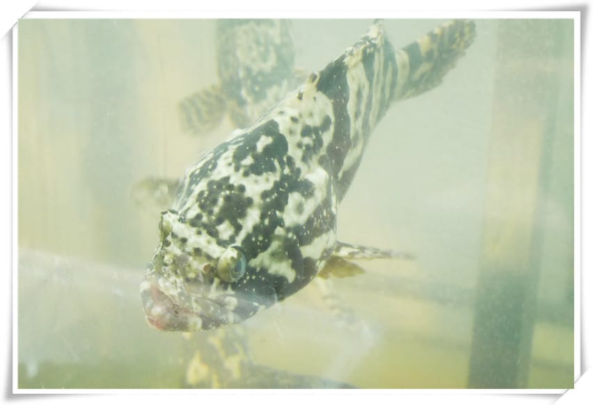 1486576457-2672296661.jpg 1486576457-2672296661.jpg