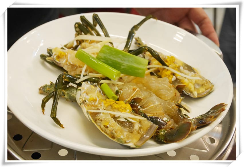 1486576436-3408931799.jpg 1486576436-3408931799.jpg