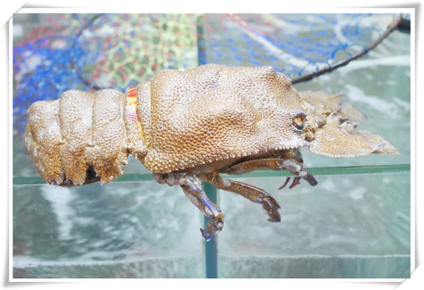 1486576457-1675088693.jpg 1486576457-1675088693.jpg