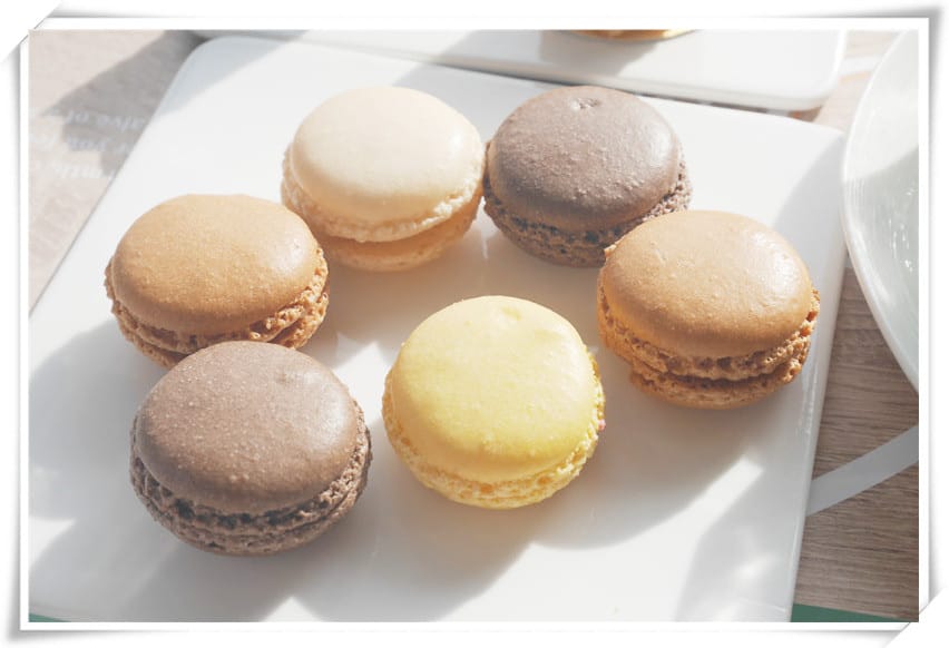 1486397824-4139219131.jpg 1486397824-4139219131.jpg