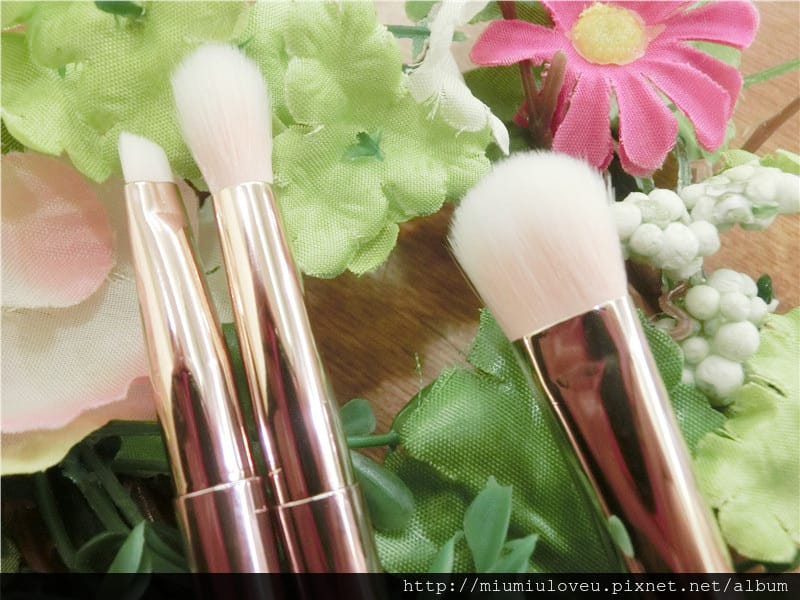 1487092729-2938629985.jpg 1487092729-2938629985.jpg