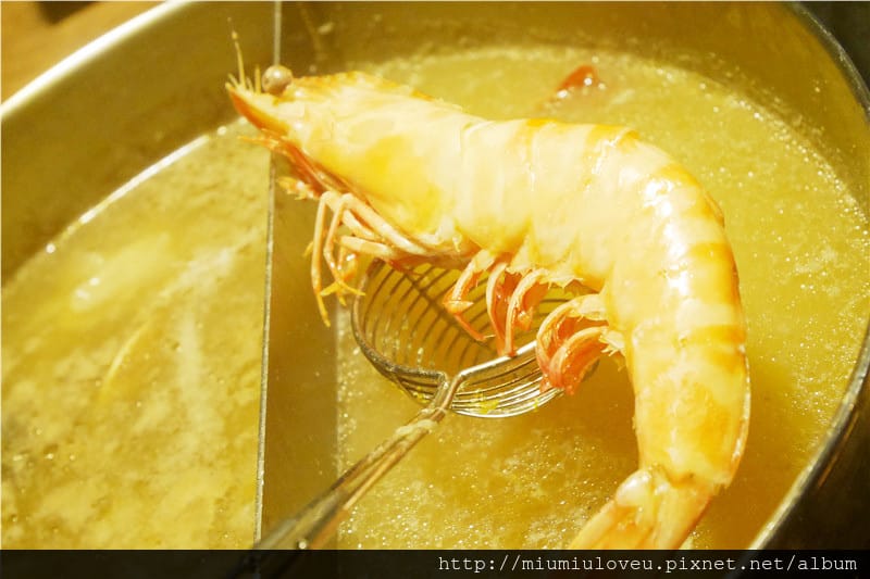 1487092718-3573609478.jpg 1487092718-3573609478.jpg