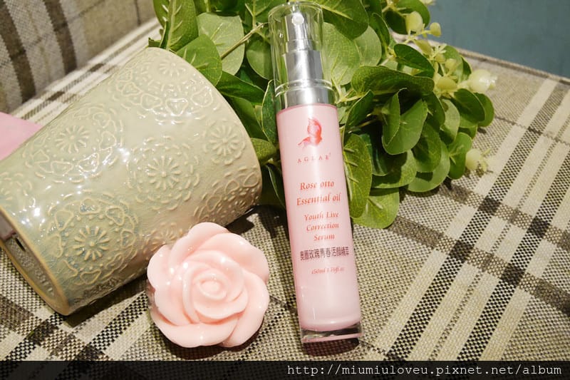 P1170965_副本.jpg P1170965_副本.jpg