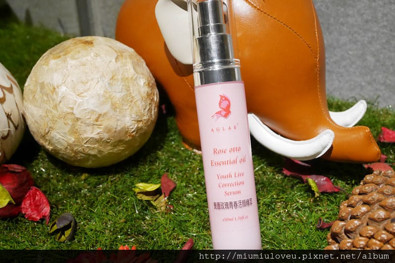 P1180180_副本.jpg P1180180_副本.jpg