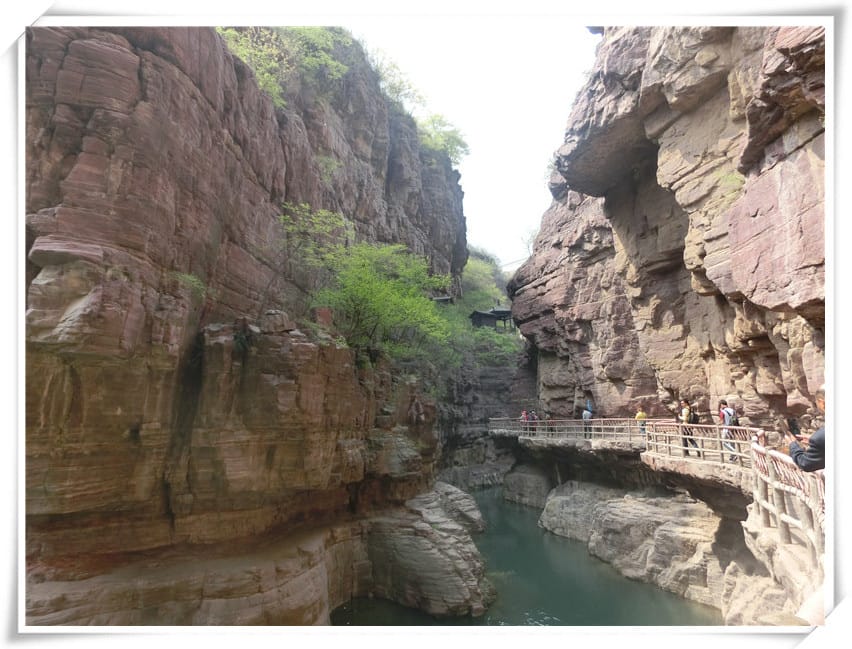 CIMG2444.jpg CIMG2444.jpg