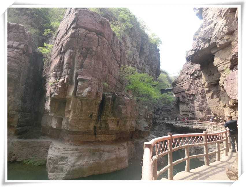 CIMG2443.jpg CIMG2443.jpg