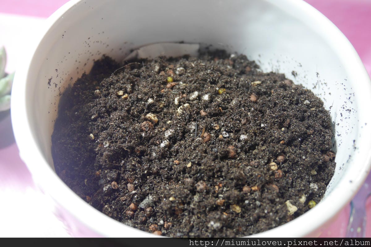 P1190593.JPG P1190593.JPG