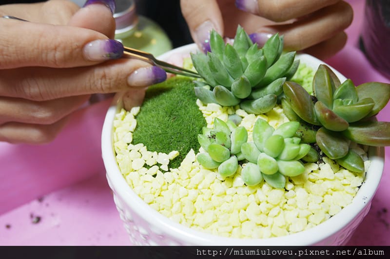 P1190615_副本.jpg P1190615_副本.jpg