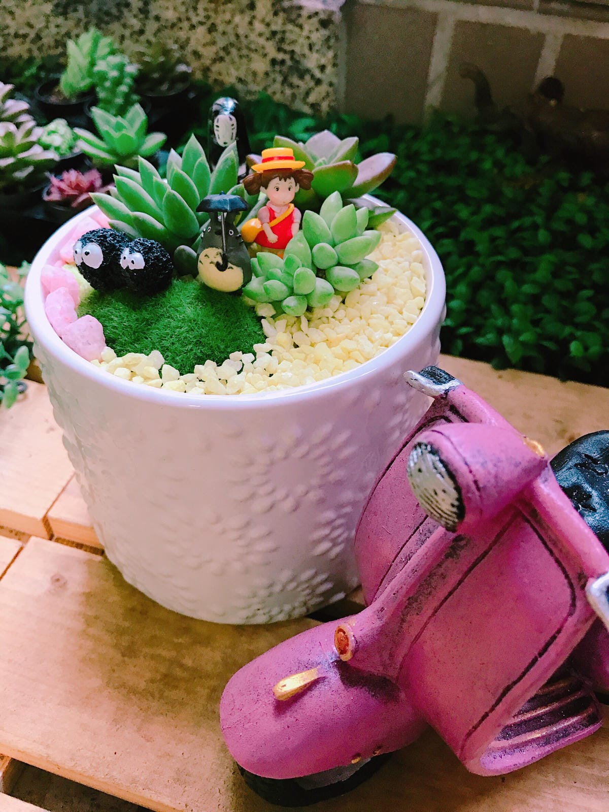 S__6537408 S__6537408