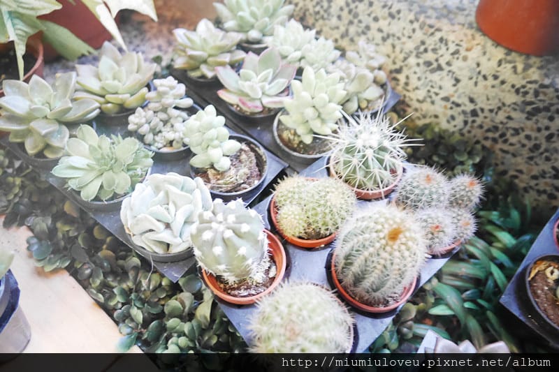 P1190584_副本.jpg P1190584_副本.jpg