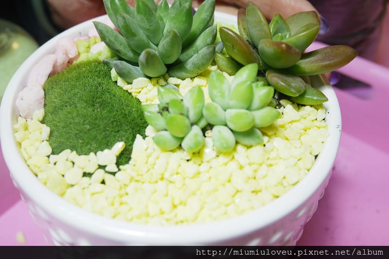 P1190612_副本.jpg P1190612_副本.jpg