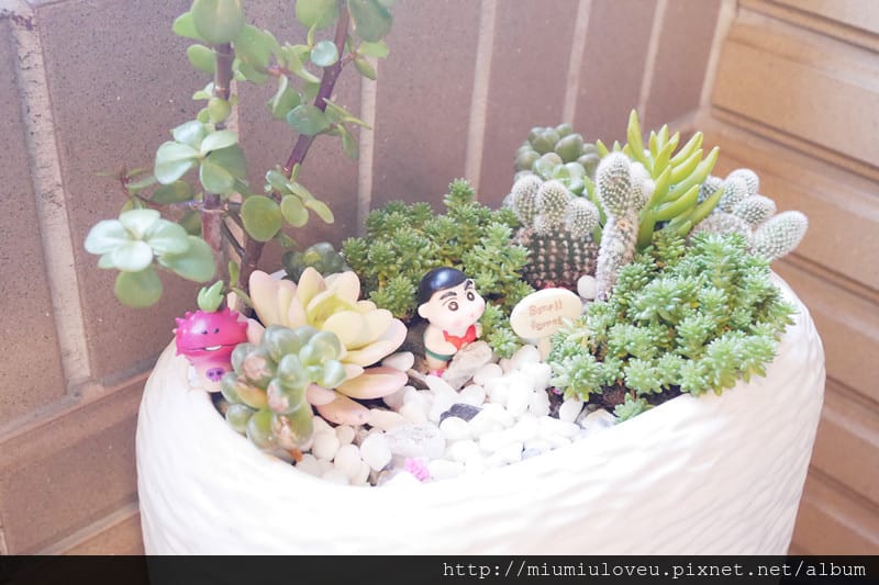 P1190581_副本.jpg P1190581_副本.jpg