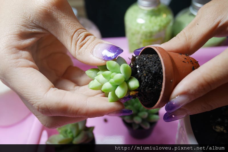 P1190596_副本.jpg P1190596_副本.jpg