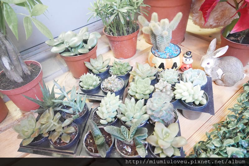 P1190586_副本.jpg P1190586_副本.jpg