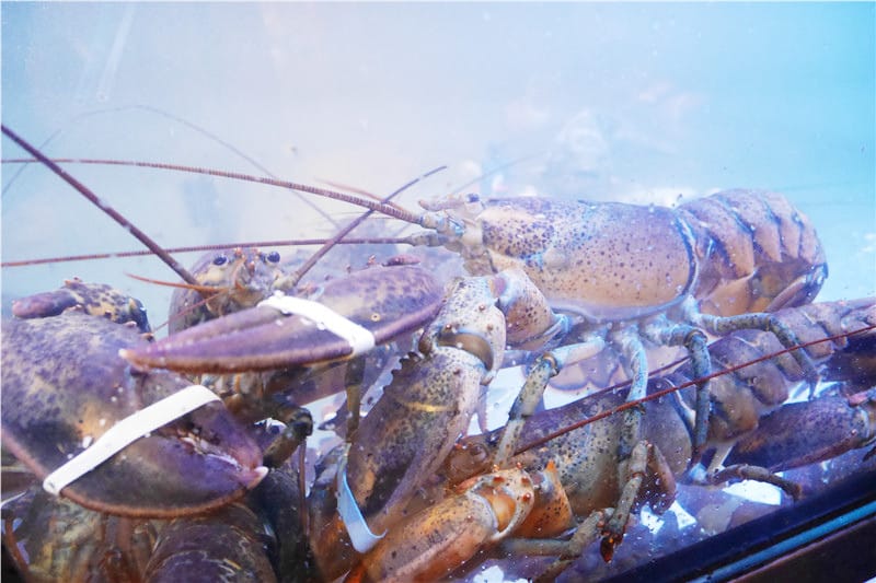 1490029971-4133501894