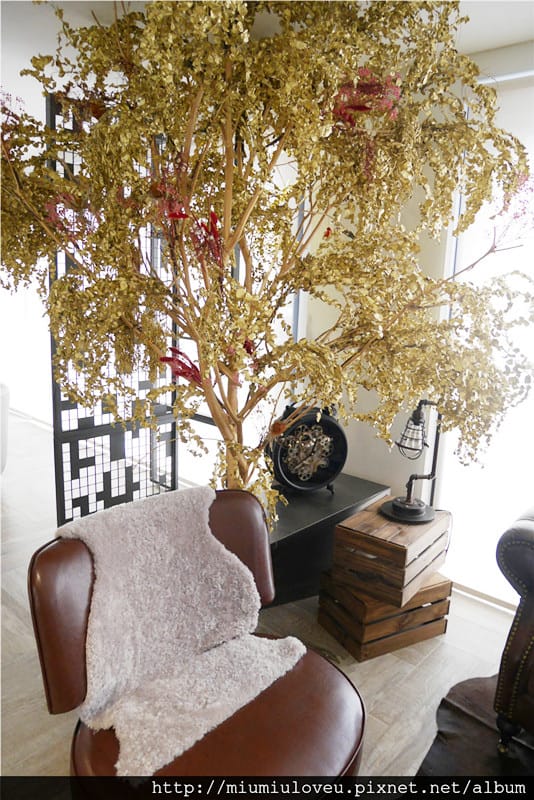 1489423472-2532483084.jpg 1489423472-2532483084.jpg