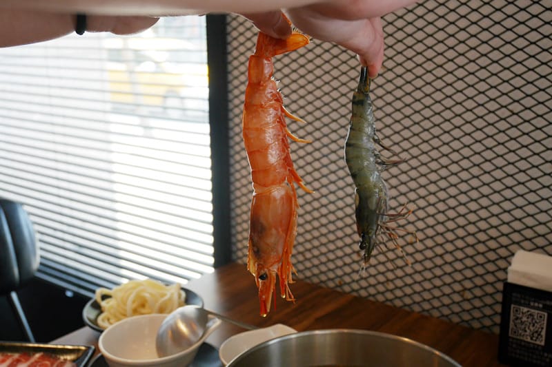 P1230044_副本.jpg P1230044_副本.jpg