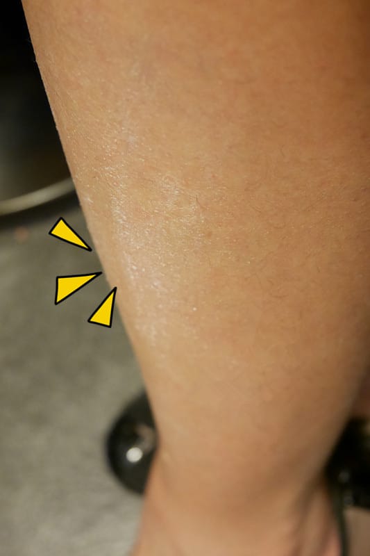 P1220863_副本.jpg P1220863_副本.jpg