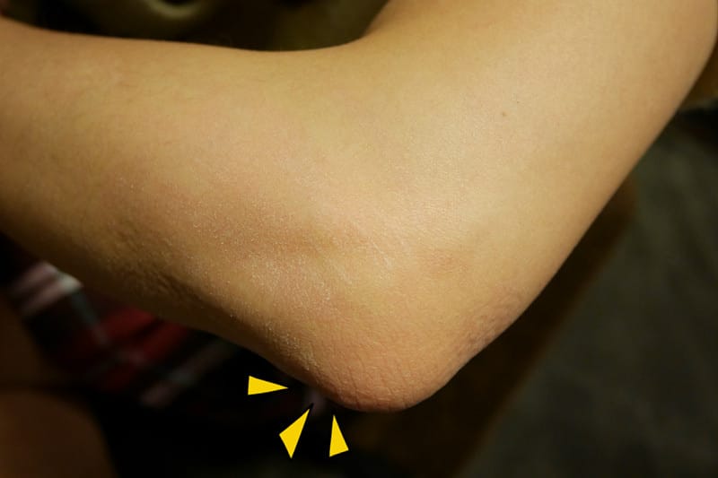 P1220875_副本.jpg P1220875_副本.jpg