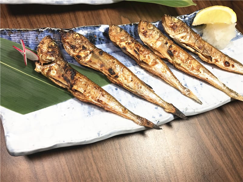 IMG_1091.jpg IMG_1091.jpg