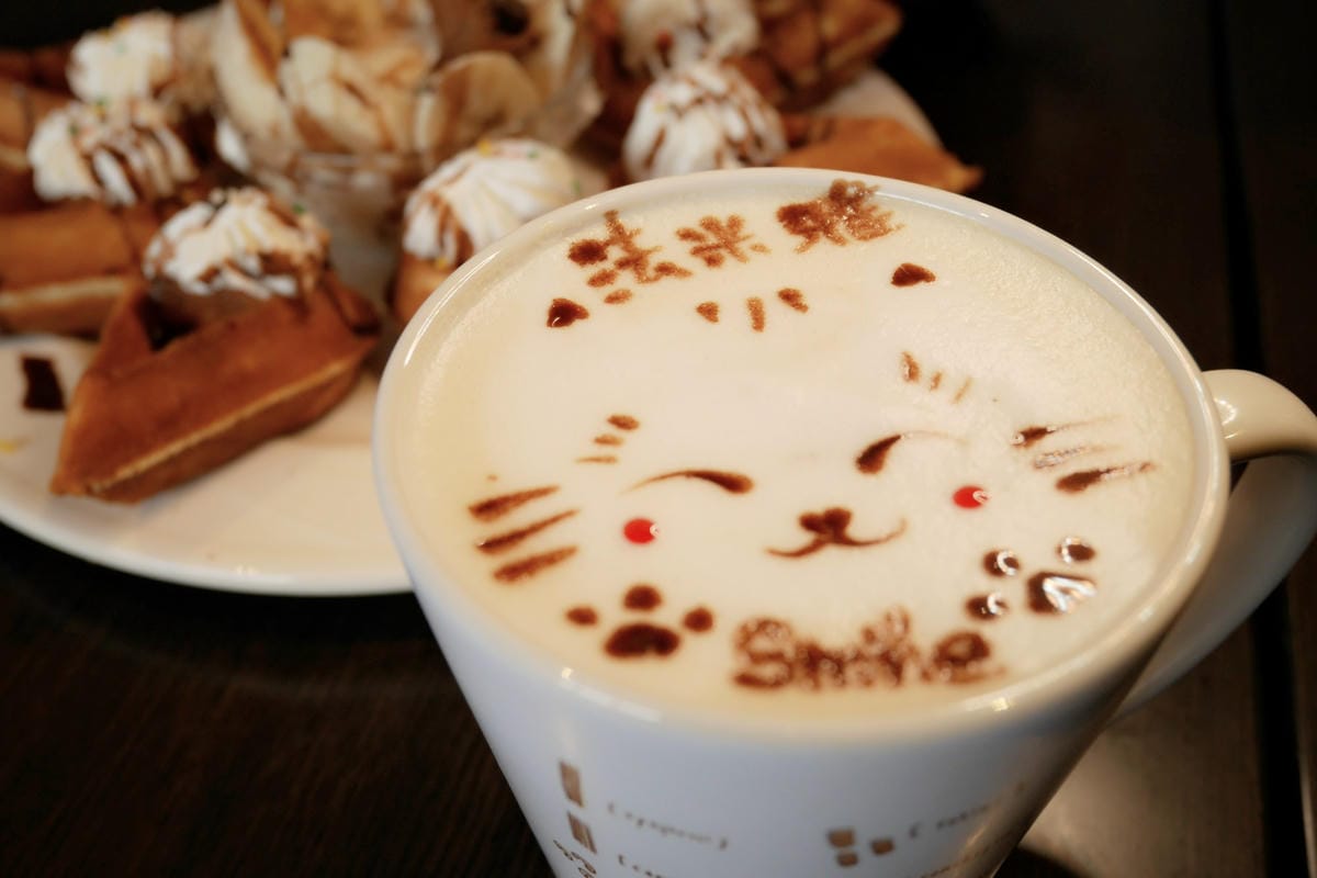 P1230699_副本.jpg P1230699_副本.jpg