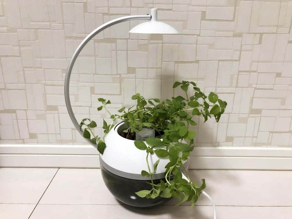 IMG_5820_副本.jpg IMG_5820_副本.jpg