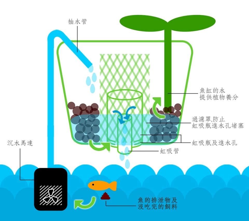 20401304_1511279112227221_1496002836.jpg 20401304_1511279112227221_1496002836.jpg