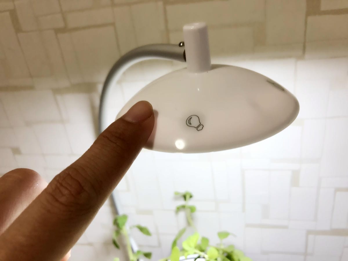 IMG_5826_副本.jpg IMG_5826_副本.jpg