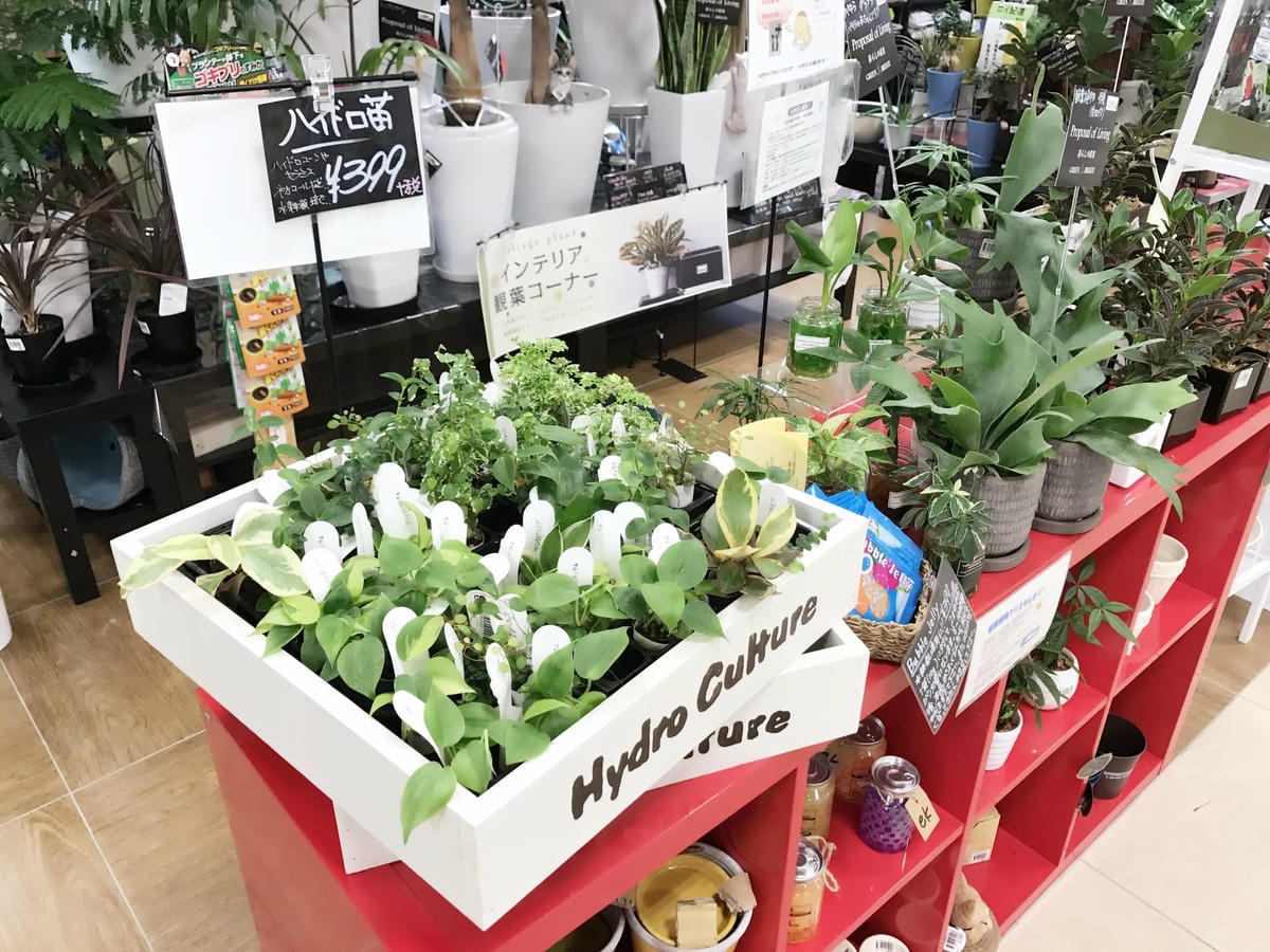 IMG_5558_副本.jpg IMG_5558_副本.jpg