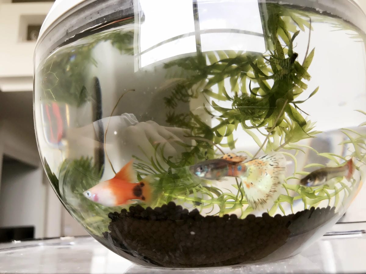 IMG_5551_副本.jpg IMG_5551_副本.jpg