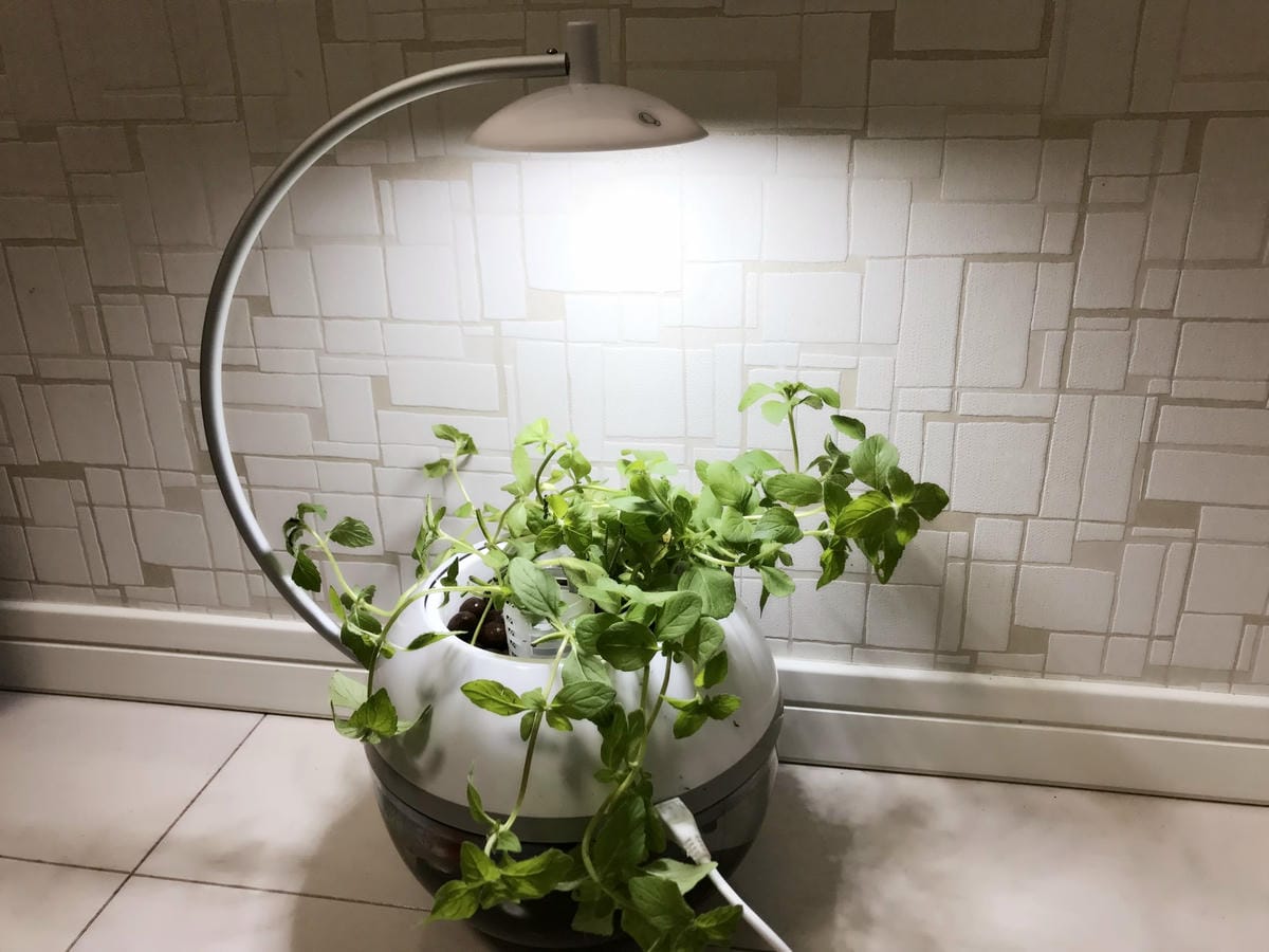 IMG_5823_副本.jpg IMG_5823_副本.jpg