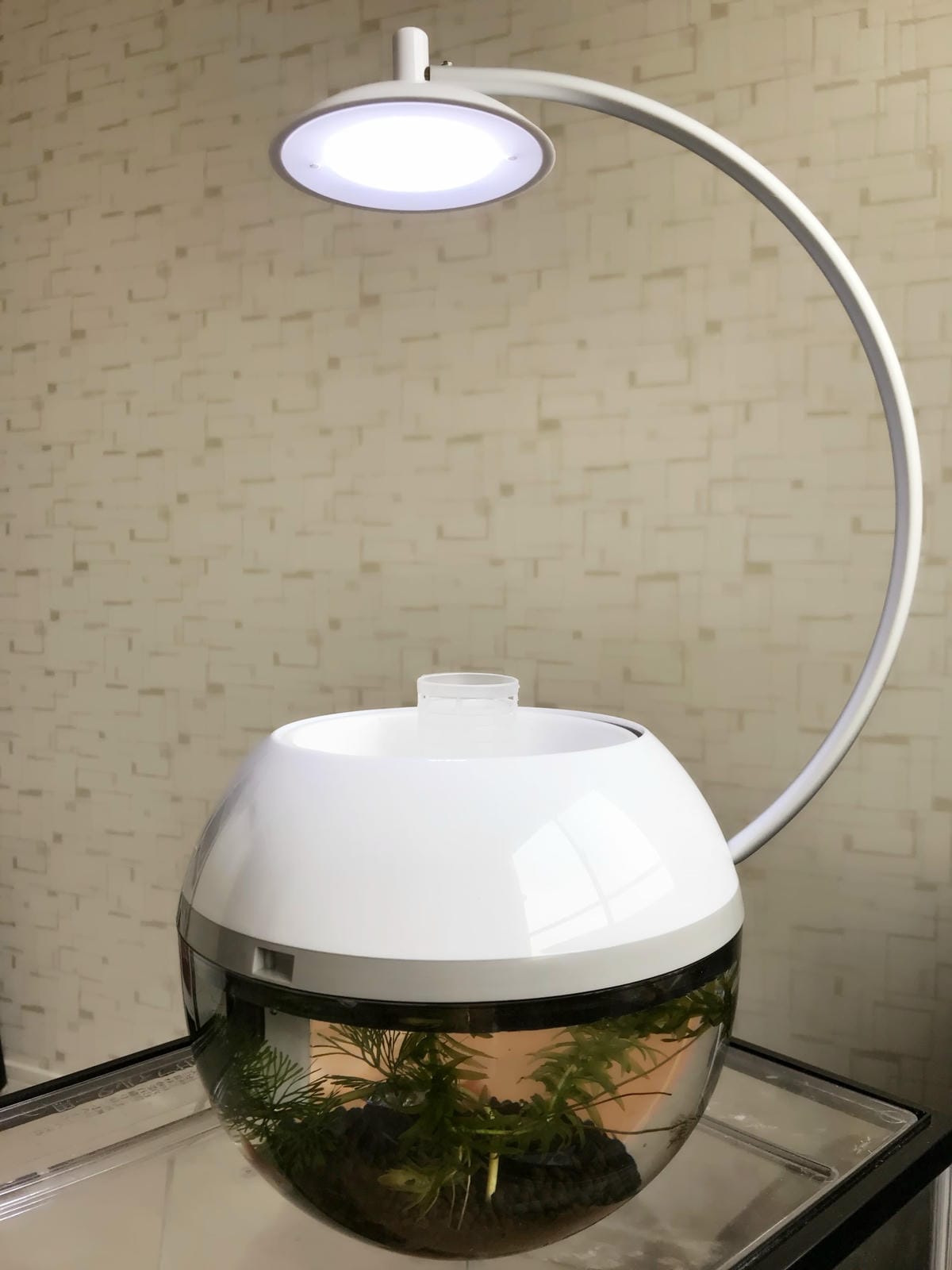 IMG_5540_副本.jpg IMG_5540_副本.jpg