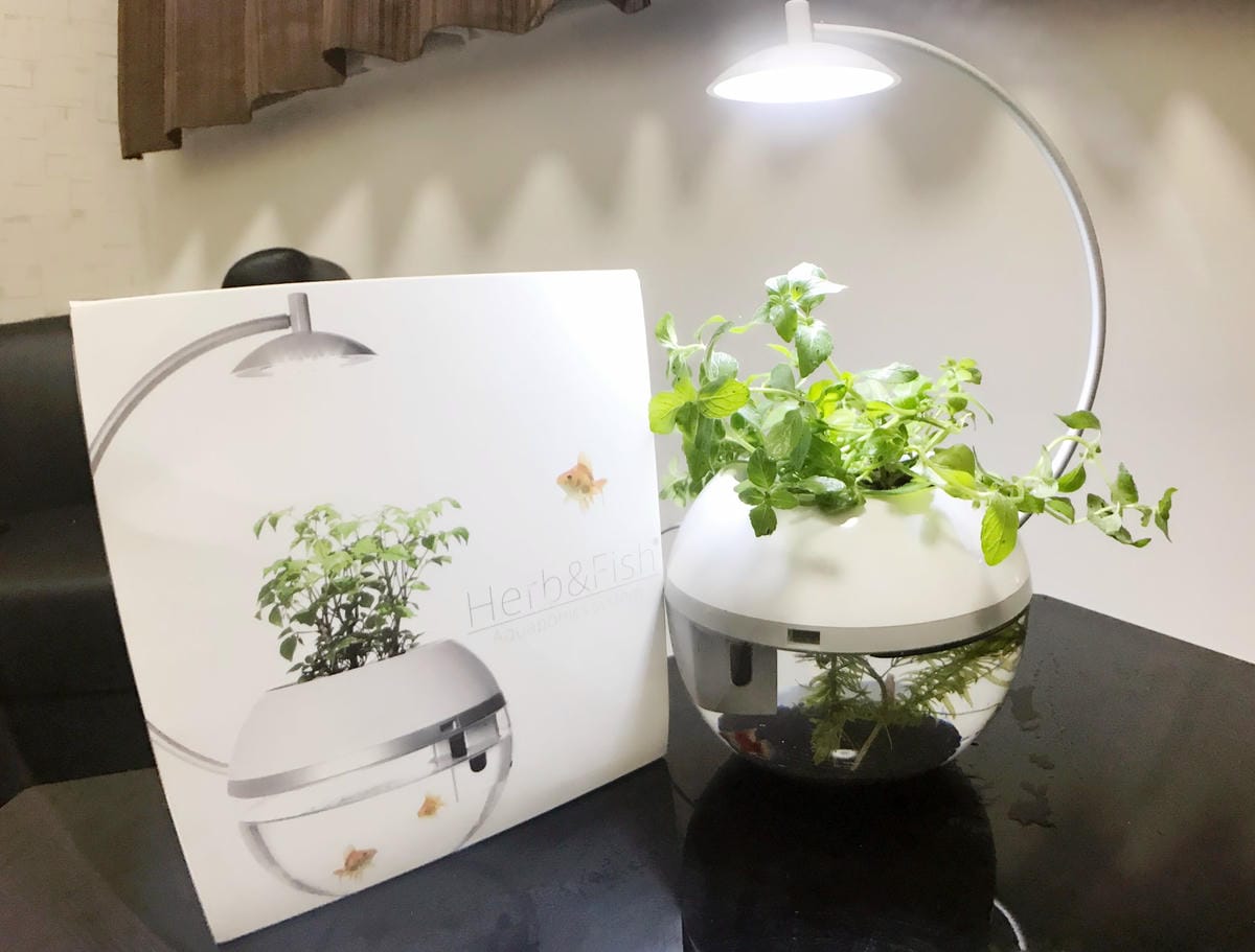 IMG_5816_副本.jpg IMG_5816_副本.jpg