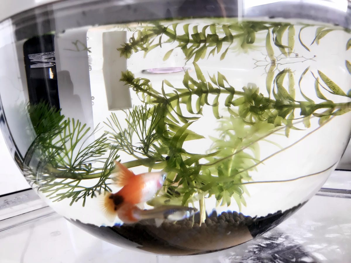 IMG_5541_副本.jpg IMG_5541_副本.jpg