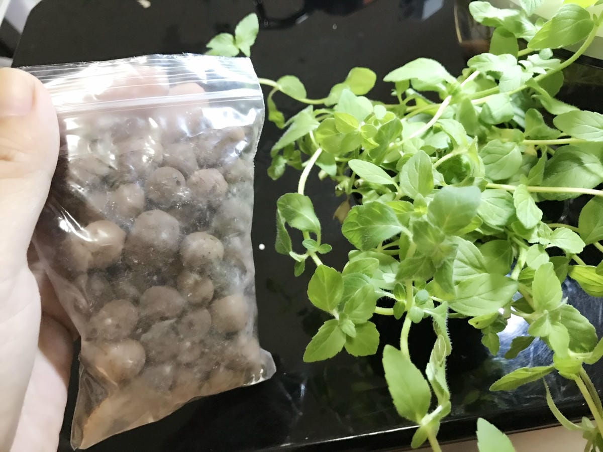 IMG_5567_副本.jpg IMG_5567_副本.jpg