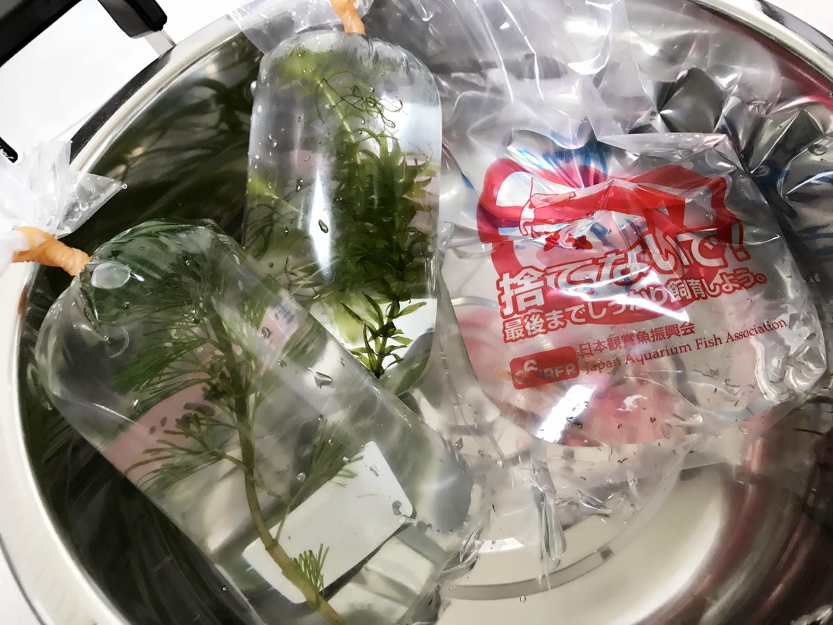 IMG_5524_副本.jpg IMG_5524_副本.jpg